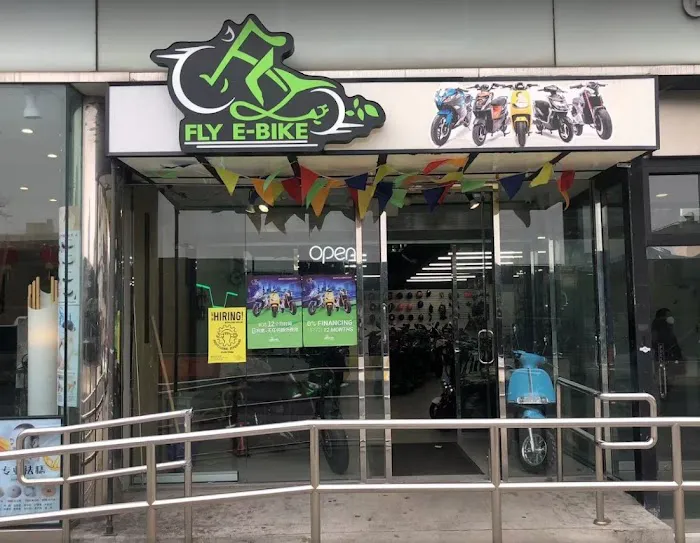 Fly E-Bike Flushing Picture 3