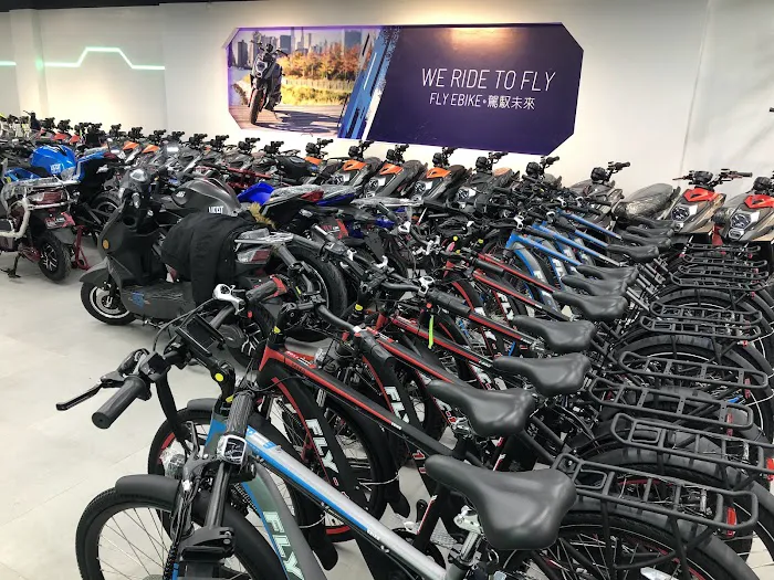 Fly E-Bike Flushing Picture 6