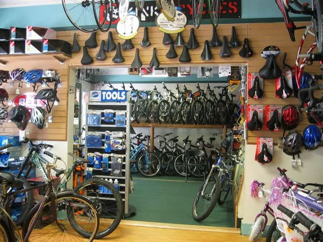 Peak Bicycle Pro Picture 2