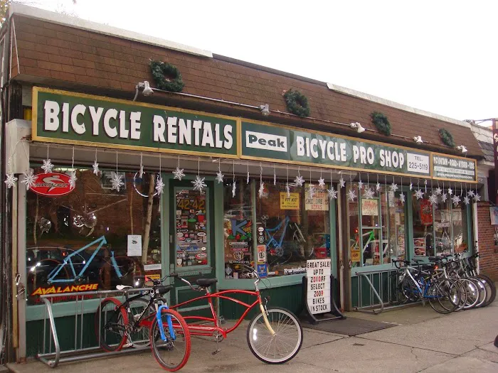 Peak Bicycle Pro Picture 1