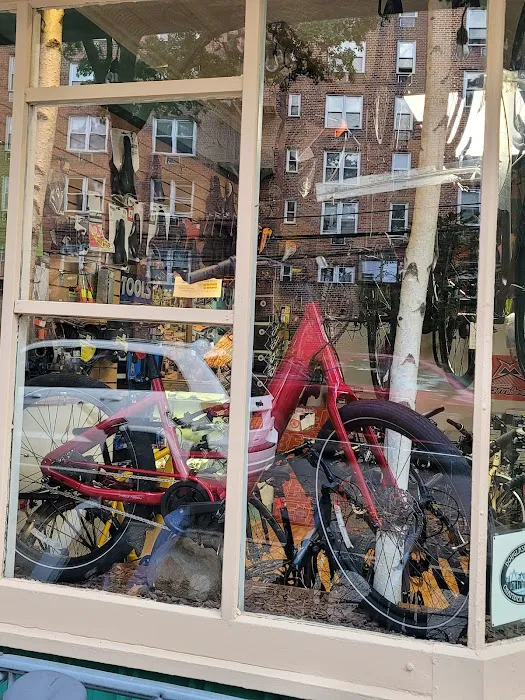 Peak Bicycle Pro Picture 3