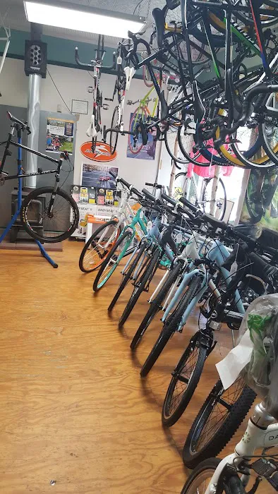 Peak Bicycle Pro Picture 4