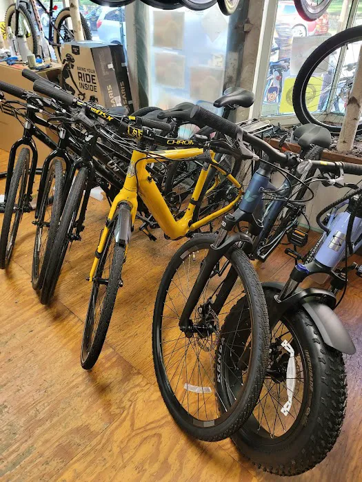 Peak Bicycle Pro Picture 5