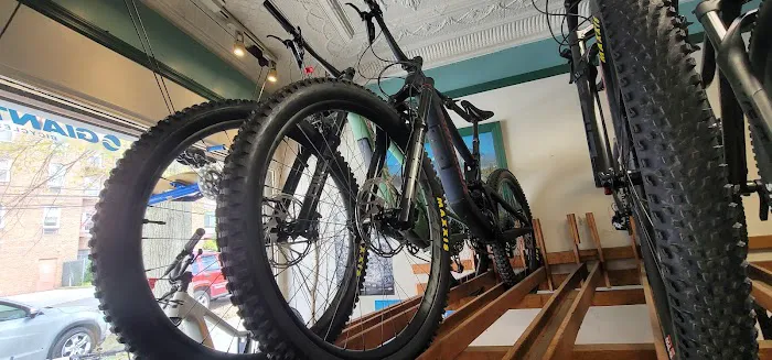 Peak Bicycle Pro Picture 10