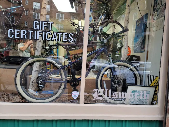 Peak Bicycle Pro Picture 9