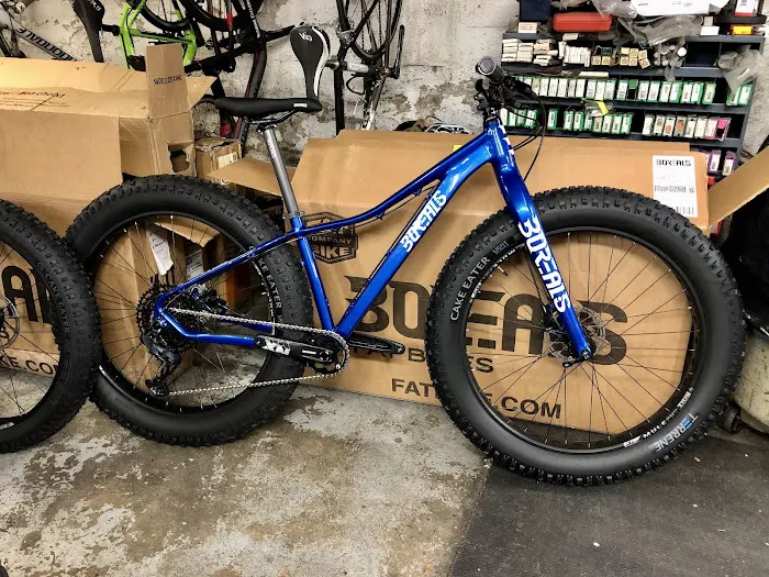 Bike Junkie Picture 7