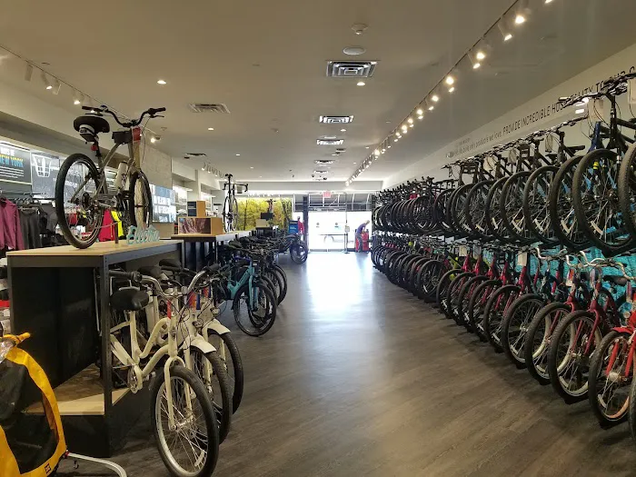 Trek Bicycle Plainview Picture 5