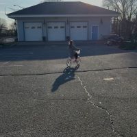 Bicycle Playground ico