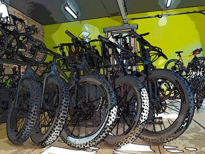 Revolution Bicycles Picture 10