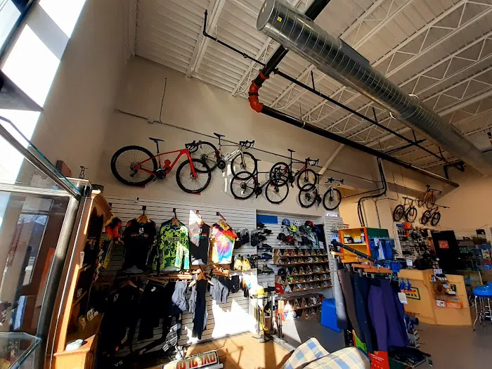 Overlook Bicycles Kingston Picture 2
