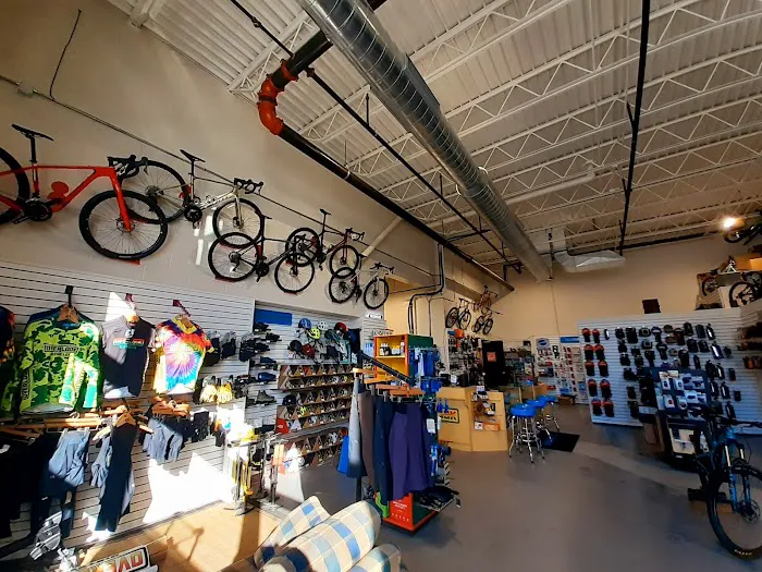 Overlook Bicycles Kingston Picture 3
