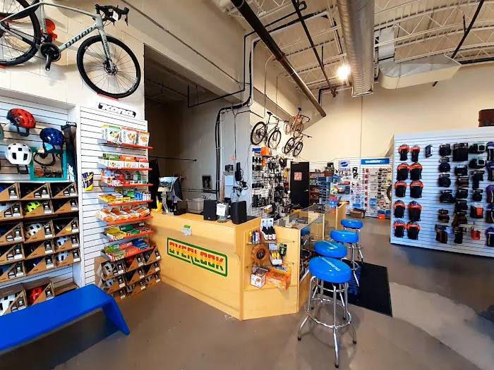 Overlook Bicycles Kingston Picture 4