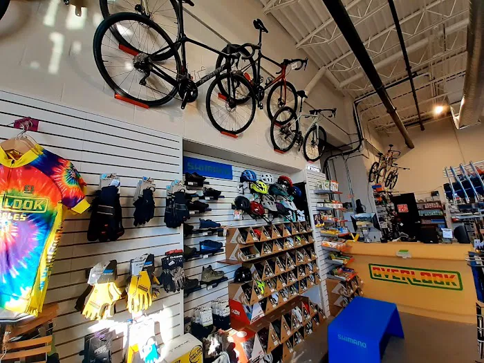 Overlook Bicycles Kingston Picture 10