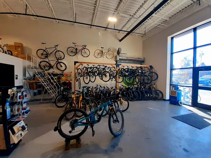 Overlook Bicycles Kingston Picture 9