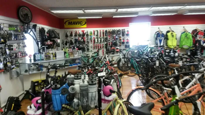 Kingston Cyclery Picture 6