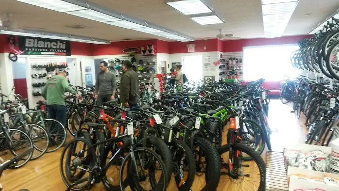 Kingston Cyclery Picture 9