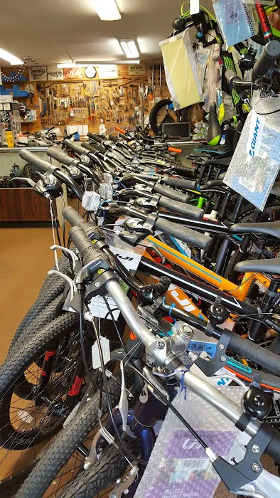 Bike Brothers Picture 1