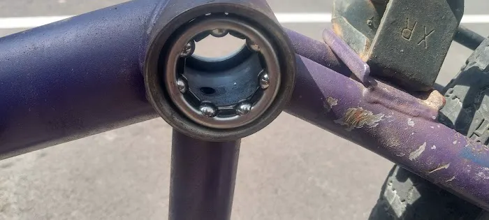 Bike Brothers Picture 3