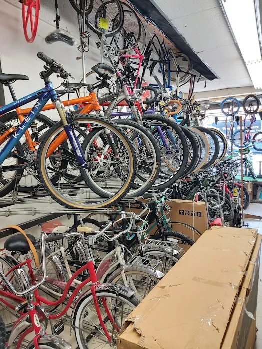 Castle Hill Bike Shop Picture 1
