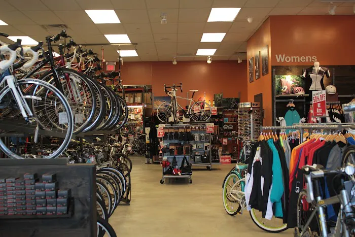 Danny's Cycles Picture 1