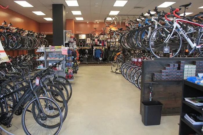 Danny's Cycles Picture 6