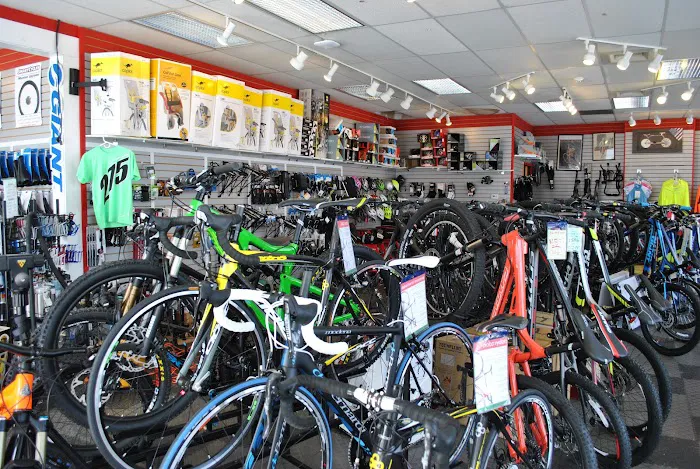 Smart Cycles Picture 4