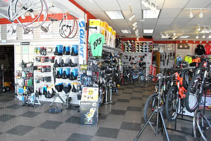 Smart Cycles Picture 7