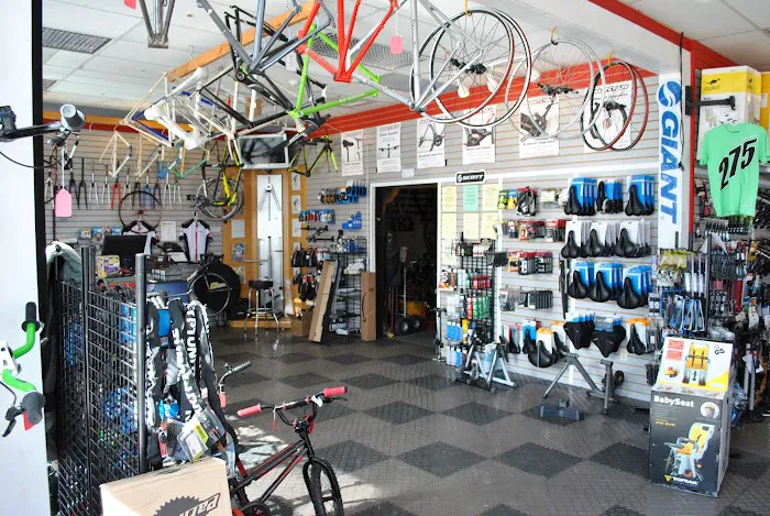 Smart Cycles Picture 10