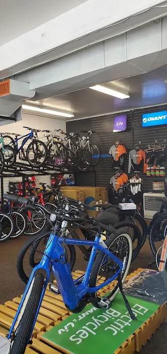 Bicycle Center Picture 4