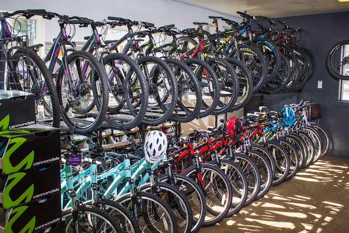 Bicycle Center Picture 9