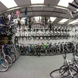 Cycle Dynamics Picture 3