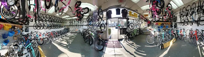 Cycle Dynamics Picture 8