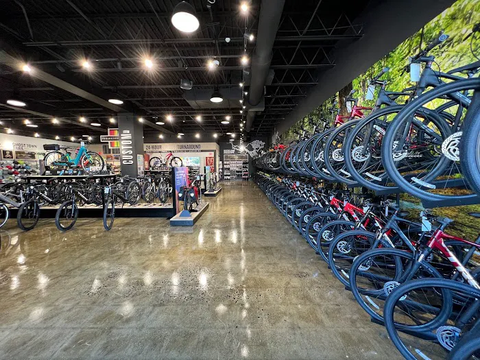 Trek Bicycle Fairfield Picture 4
