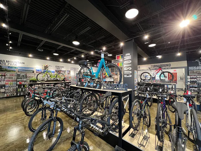 Trek Bicycle Fairfield Picture 10