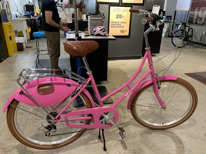 Trek Bicycle Alexandria South Picture 1