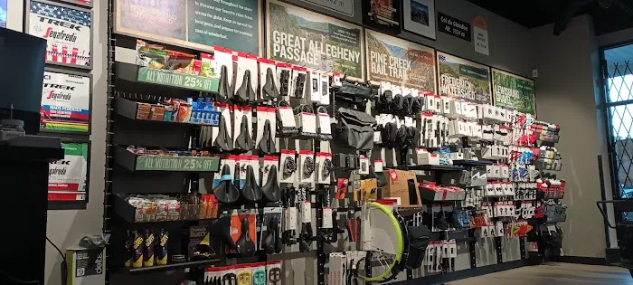 Trek Bicycle Alexandria South Picture 3