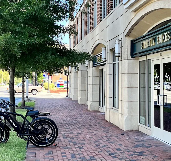 Strictly Ebikes Picture 1