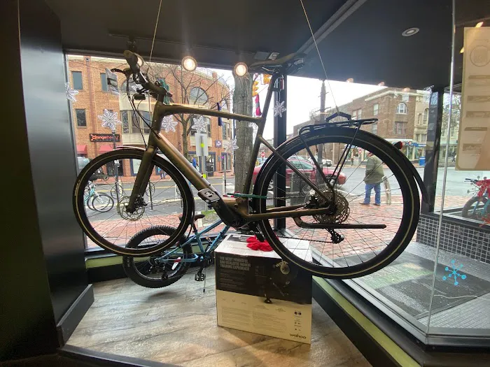 Conte's Bike Shop Picture 5