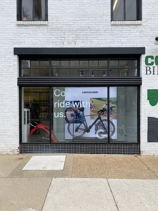 Conte's Bike Shop Picture 9
