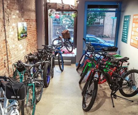 Pedego Electric Bikes Alexandria