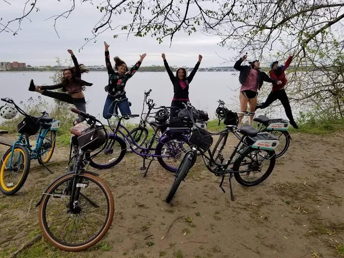 Pedego Electric Bikes Alexandria Picture 4