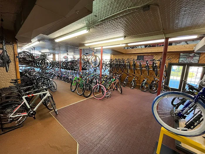 Babylon Bicycle Shop Ltd Picture 2