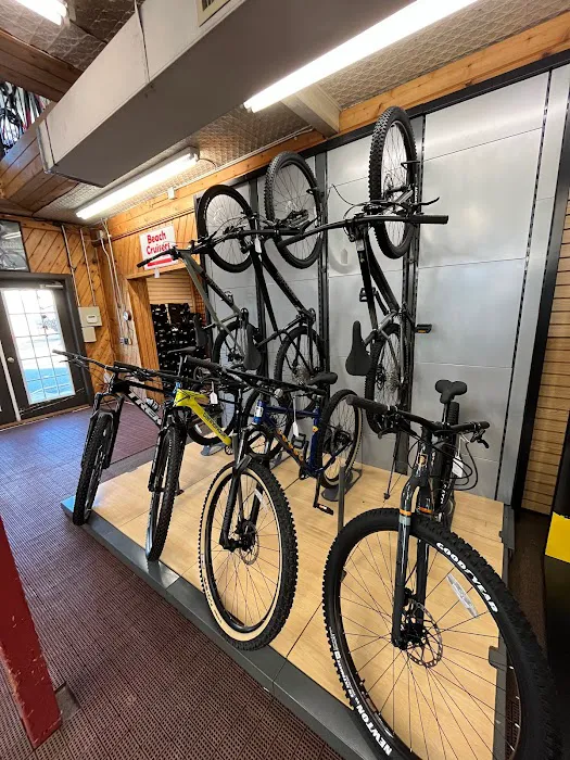 Babylon Bicycle Shop Ltd Picture 5