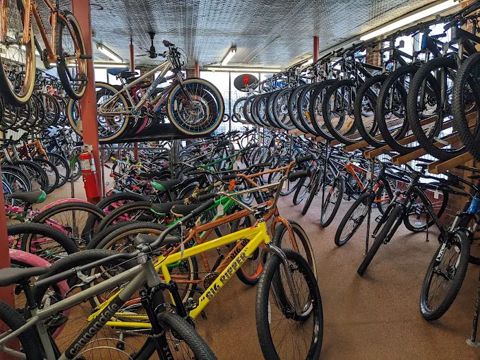 Babylon Bicycle Shop Ltd Picture 6