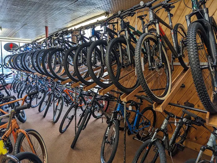 Babylon Bicycle Shop Ltd Picture 8