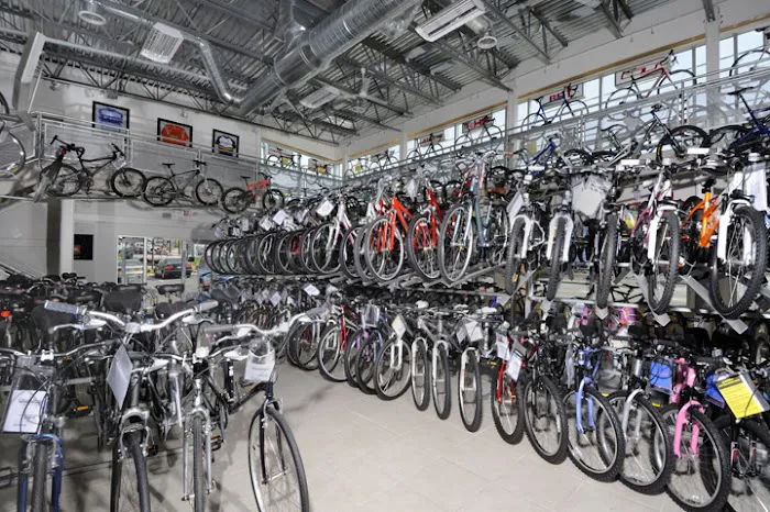 Cycle Fast USA Picture 3