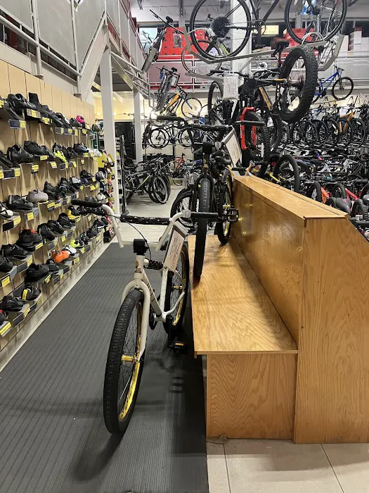 Cycle Fast USA Picture 5