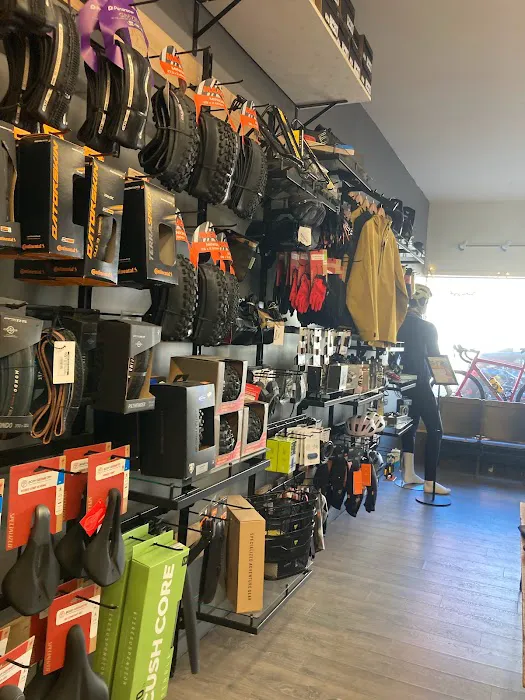Catskill Bicycle Supply Co. Picture 2