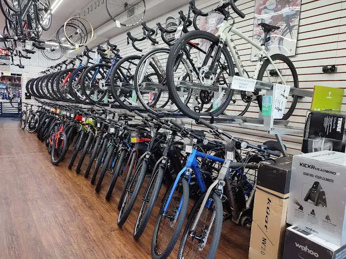 Campus Bicycles Picture 3