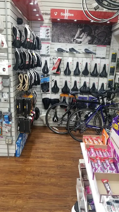 Campus Bicycles Picture 4